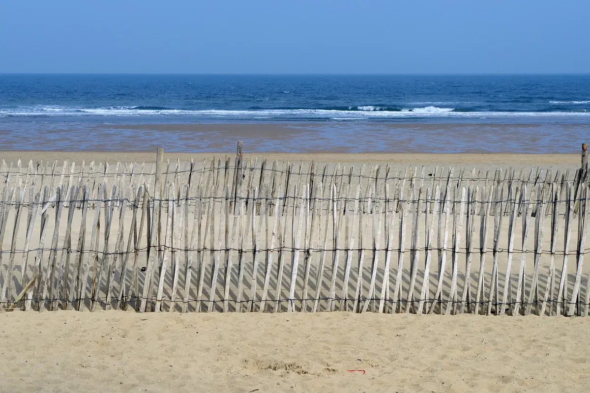 Best Beaches in South Shields