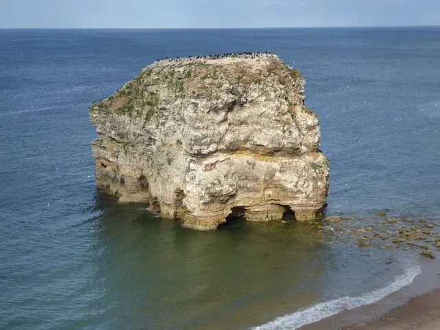 Best Walks from South Shields