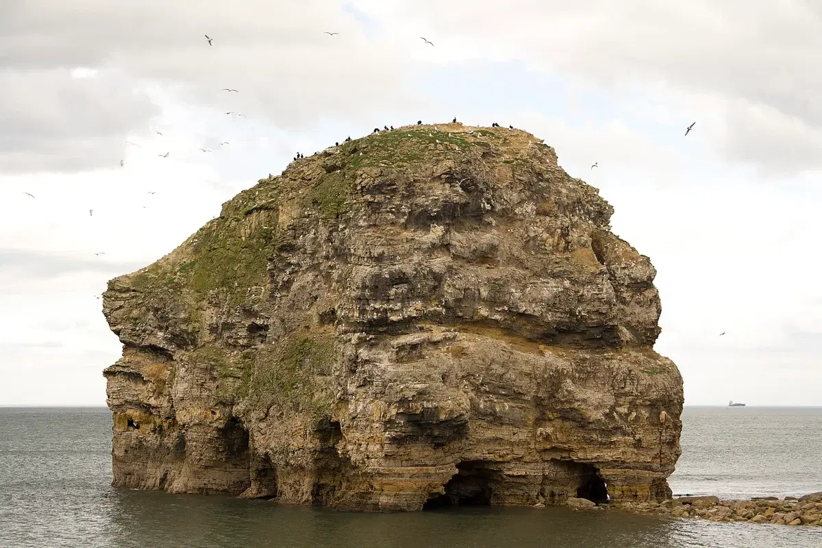 Marsden Bay and Marsden Grotto: The Complete Guide